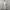 Dress gratis photo 6