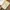 Buttonscarves x Sarah Sofyan Blume Voile Square - Aloe photo 4