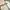 Buttonscarves x Sarah Sofyan Blume Voile Square - Aloe photo 2