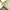 Buttonscarves x Sarah Sofyan Blume Voile Square - Aloe photo 1