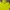 TNF Baselayer Yellow Stabillo photo 2