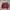 Abercrombie & Fitch Bomber Jacket photo 1