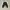 Skechers Go Run Slip On photo 4