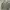 Gstar-raw Military field jacket photo 3