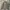 Gstar-raw Military field jacket photo 4