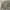 Gstar-raw Military field jacket photo 1