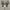Converse Chuck 70s Hi photo 3