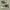 Converse Chuck 70s Hi photo 1