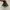 Converse Chuck 70s Hi photo 4
