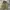 M65 Field Military Parka Nearby photo 2