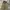 M65 Field Military Parka Nearby