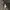 M65 Field Military Parka Nearby photo 6