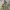 M65 Field Military Parka Nearby photo 3