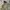 M65 Field Military Parka Nearby photo 1