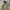 M65 Field Military Parka Nearby