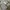 Airpods + Powerbank 5000mAh