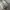 Airpods + Powerbank 5000mAh