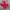 Jersey Manchester United Colour Red Nike photo 1
