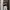 Nike sweatpants Joger pants Gray fit Baggy photo 8