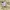 Celana Ellsse golf pants striped fit reguler photo 5