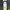 Old Nevy Jeans Cut Bray White  photo 8