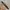 Belt canvas camouflage photo 3
