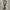 Belt canvas camouflage photo 1