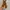 Belt jalin osfa rope brown photo 2