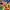 Y2k Jam Funky Jam Tank Top Multicolor Full Art Graphic photo 2