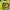 Atro boy photo 2