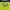 Atro boy photo 6