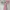 Lovet Dress Pink 