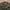 Jungle Fatigue Jacket Slant Pocket photo 2