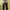 GU World Jeans International Basic Dark Pine Green Denim photo 5