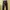 GU World Jeans International Basic Dark Pine Green Denim photo 6