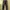 GU World Jeans International Basic Dark Pine Green Denim photo 1