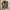 ZARA Military Style Jacket Canvas  photo 3