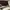 Burgundy Perdo Bag photo 7