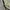 Baggy washed trezipper y2k wide leg  photo 8