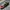 Vans oldskool style 36 photo 3