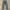 LEVI'S STAY LOOSE | LOOSE FIT | SIZE 29-30 photo 1