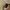 Dior Lady D- Lite Gold 3d  Embroidered Canvas Handbag Sling  photo 4