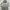 Hoodie Champion Grey photo 1