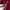 Valentino Garavani Rockstud sling bag leather red photo 3