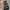 Sell Valentino Garavani Authentic Entrupy Medium Rockstud photo 5
