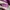 Valentino handbag Leather purple SHW photo 2