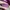 Valentino Handbag Leather Purple SHW