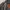 The North Face Gorpcore Pria orange photo 8