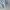 National Geographic Streetwear Sweater Pria gray photo 5