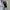 National Geographic Streetwear Sweater Pria gray photo 7